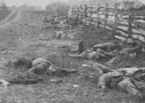 Dead soldiers at Antietam, 1862. (Gilder Lehrman Collection)