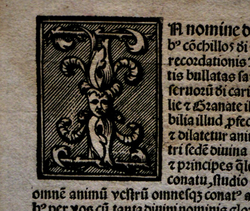 Close view of an embellished letter on a Papal Bull
