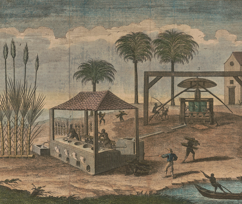 Hand-colored engraving depicting the making of sugar