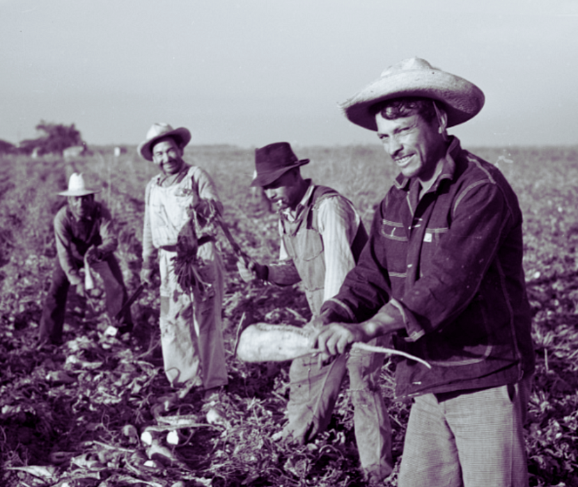 Photo of Mexican American farm workers.