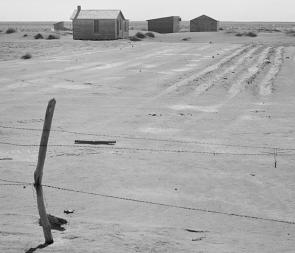 Abandoned farm in the Dust Bowl, Coldwater District, near Dalhart Texas, photogr
