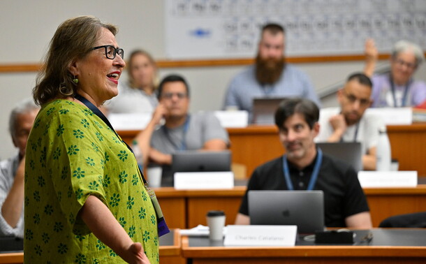 A woman wearing a green shirt addresses a group during a professional development training session.