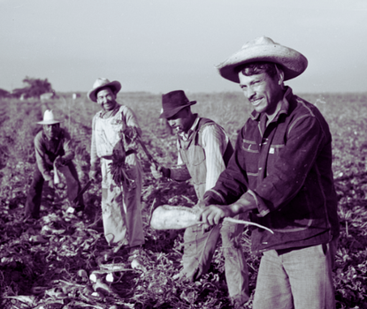 Photo of Mexican American farm workers.