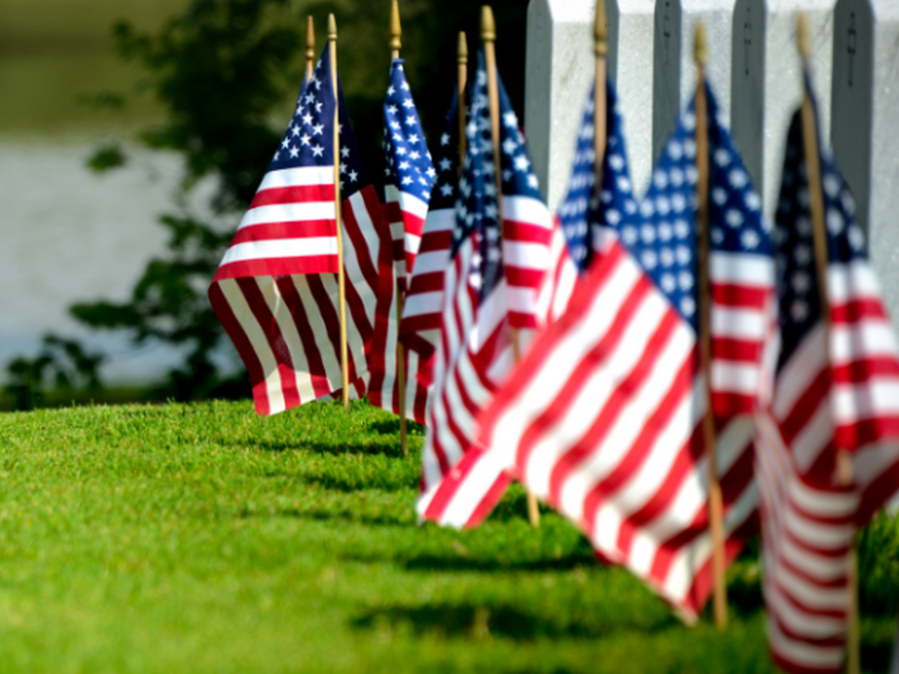 US flags on veteran graves