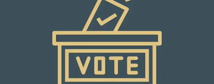 Simplified The Right to Vote icon