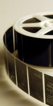 View of microfilm roll.